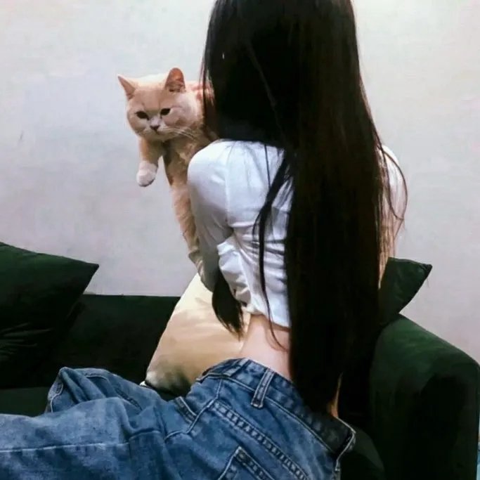 花仔多情粤语